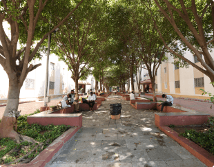 Ashram_Image_10