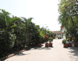 Ashram_Image_5