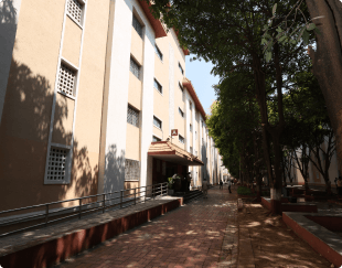 Ashram_Image_9